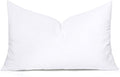 MIULEE Throw Pillow Insert Premium Pillow Stuffer Sham Rectangle for Decorative Cushion Bed Couch Sofa 16x36 Inch