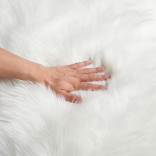 EasyJoy Ultra Soft Fluffy Shaggy Area Rug Faux Fur Rug Chair Cover Seat Pad Fuzzy Area Rug for Bedroom Floor Sofa Living Room (2 x 3 ft Sheepskin, White)