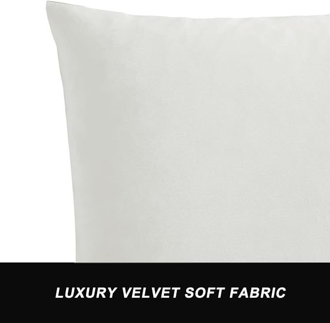 GIGIZAZA White Velvet Decorative Throw Pillow Covers for Sofa Bed 2 Pack Soft 20x20 Cushion Covers