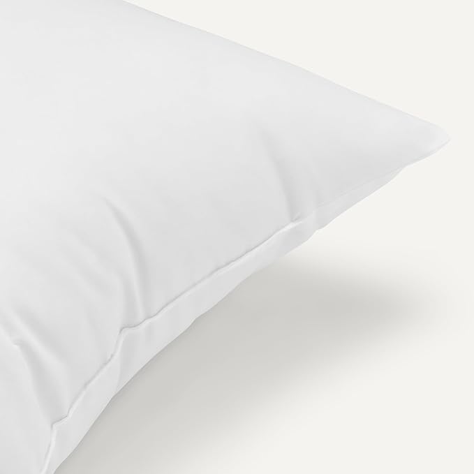 Amazon Basics Square Hypoallergenic Pillow Insert, Down Alternative Fiberfill, Sofa Bed Couch Decorative Stuffer, 18", 2-Pack