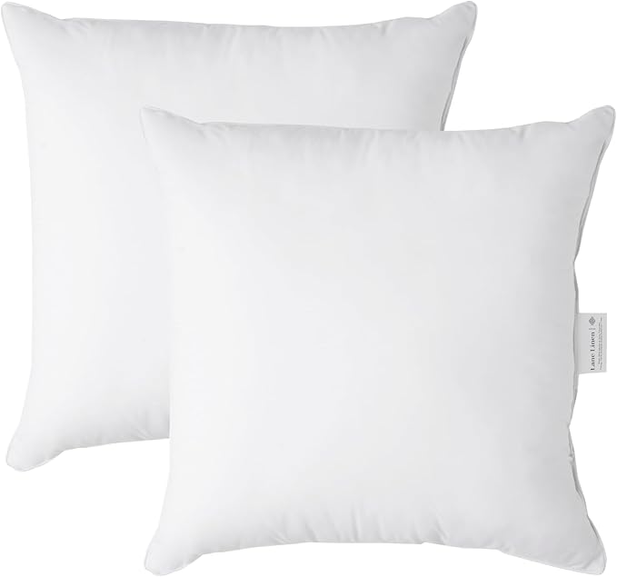 LANE LINEN 26x26 White Throw Pillow Inserts – Pack of 2 White, Fluffy Decorative Insert for Throw Pillow Covers, Perfect for Couch, Bed, Outdoor Use, and Elegant Sofa or Living Room Decor