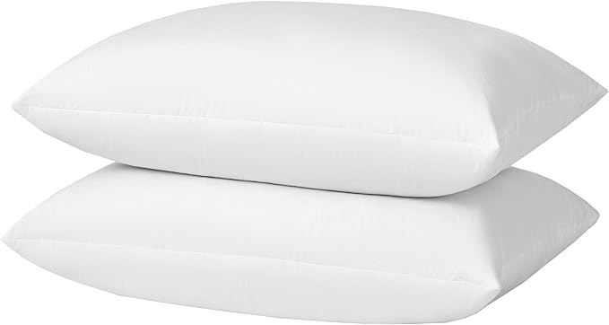 Pillow Insert, 20x28 White Goose Feather and Down, Medium Support