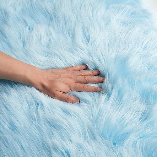 EasyJoy Ultra Soft Fluffy Shaggy Area Rug Faux Fur Rug Chair Cover Seat Pad Fuzzy Area Rug for Bedroom Floor Sofa Living Room (2 x 6 ft Sheepskin, Sky Blue)