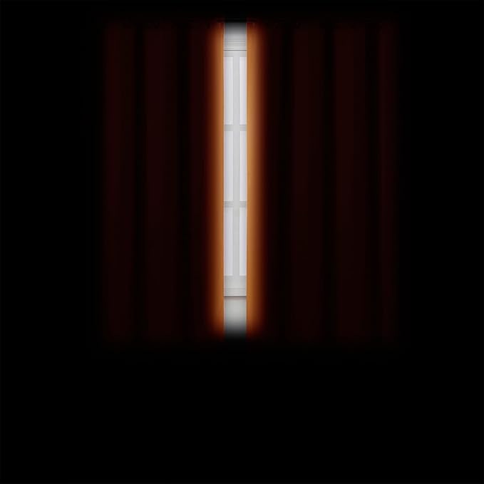 LEMOMO Orange Blackout Curtains 42 x 54 Inch Length Set of 2 Panels Grommet Bedroom Curtains for Living Room
