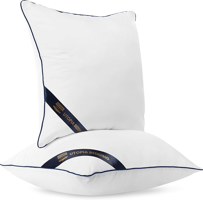 Utopia Bedding Throw Pillow Inserts (Pack of 2, White), 20 x 20 Inches Decorative Indoor Pillows for Sofa, Bed, Couch, Cushion Sham Stuffer