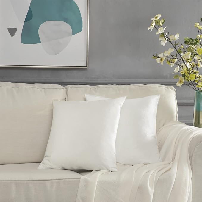 GIGIZAZA White Velvet Decorative Throw Pillow Covers for Sofa Bed 2 Pack Soft 20x20 Cushion Covers