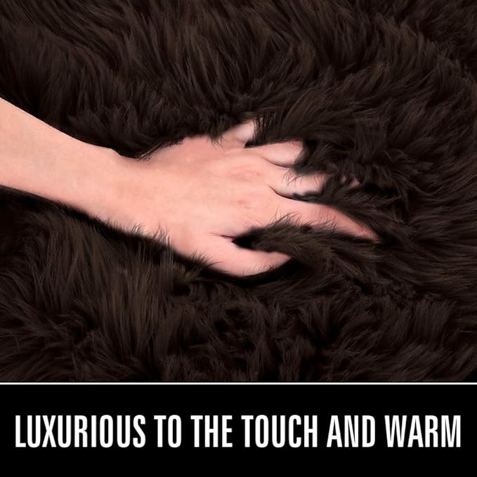 LOCHAS Soft Fluffy Faux Fur Rugs for Bedroom Bedside Rug 2x3 Feet, Washable, Furry Sheepskin Area Rug for Living Room Girls Room, Luxury Shag Carpet Home Decor, Brown