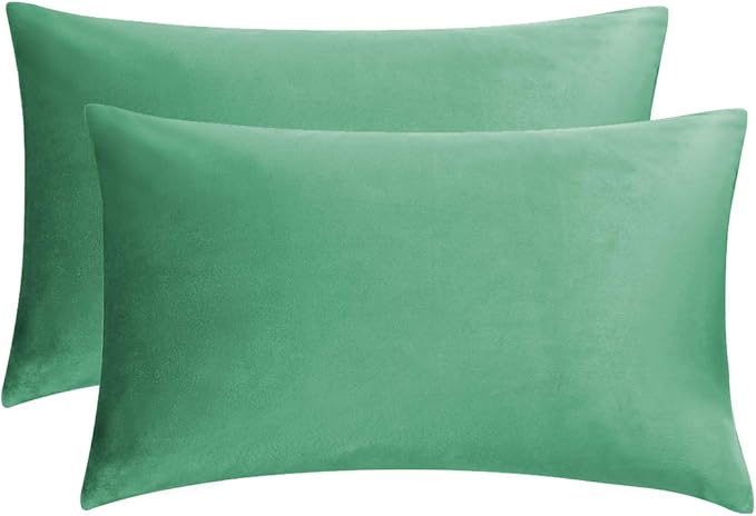 GIGIZAZA Mint Turquoise Velvet Decorative Throw Pillow Covers 12x20 for Sofa Bed 2 Pack Soft Lumbar Cushion Cover