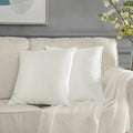 GIGIZAZA White Velvet Decorative Throw Pillow Covers for Sofa Bed 2 Pack Soft 20x20 Cushion Covers