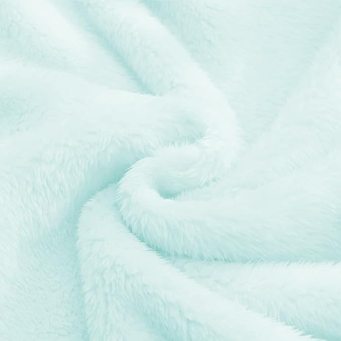Exclusivo Mezcla Plush Fuzzy Fleece Throw Blanket, Super Soft, Fluffy and Warm Blankets for Couch, Bed, All Season (Mint Green, 40x50 inches)