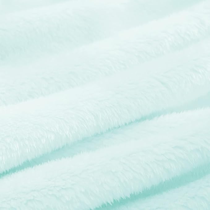 Exclusivo Mezcla Plush Fuzzy Fleece Throw Blanket, Super Soft, Fluffy and Warm Blankets for Couch, Bed, All Season (Mint Green, 40x50 inches)