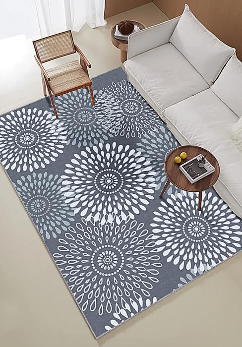 StepRite Runner Rug 4 x 6 ft, Washable Rugs, Hallway Runner Rugs, Kitchen Runner Rug Non Slip, Soft Runner with Rubber Backing for Kitchen, Hallway, Laundry, Bedroom, Living Room