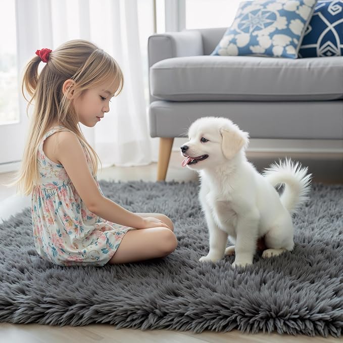 Rugs for Bedroom 4x6, Alfombras para Salas Shag Large Plush Soft Area Rug, Shaggy Carpets for Livingroom, Kids Boys Girls Home Decor Aesthetic(Dark Grey, 4 x 6)