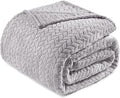 Exclusivo Mezcla Fleece Twin Size Blanket for Bed, 60x80 Inches Soft Cozy Jacquard Flannel Blankets, Lightweight Fuzzy Plush Warm for Women, Light Grey