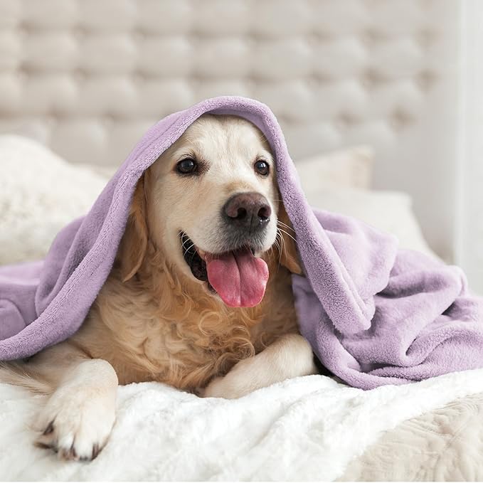 BEDELITE Fleece Blanket Lilac Throw Blankets for Couch & Bed, 300GSM Luxury Plush Cozy Fuzzy Blanket 50" x 60", Super Soft Warm Lightweight Throw Blanket for Travel Camping