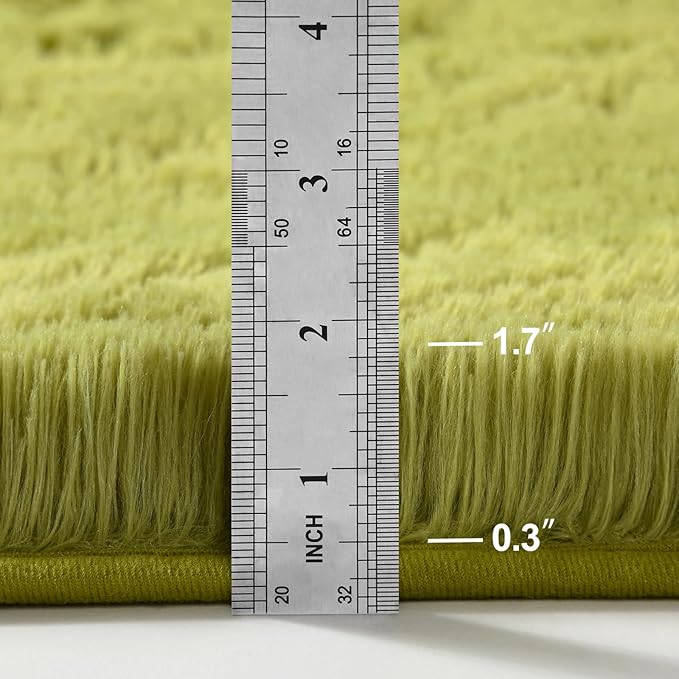Deerhoo Shag Area Rug, 4 X 6 Plush Fuzzy Rugs for Living Room, Ultra Soft Fluffy Furry Rug for Bedroom, Indoor Carpet Nursery Rugs for Kids Room Home Decor, Green
