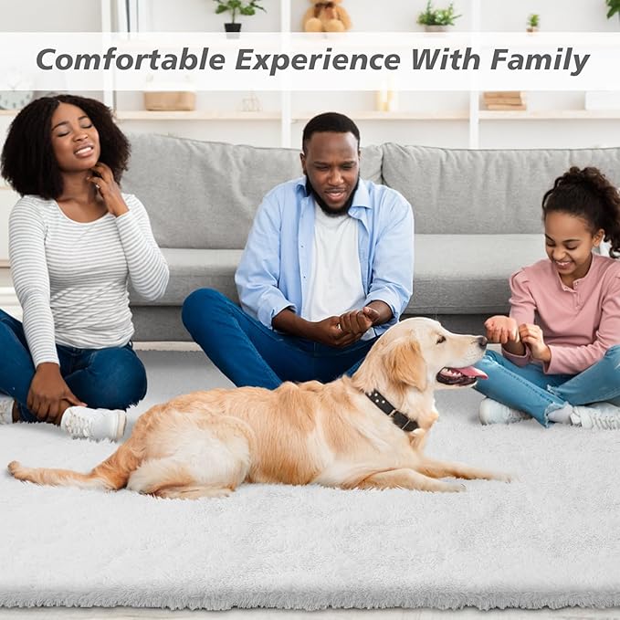 Small Rugs for Bedroom 2x3 Fluffy, Soft Fuzzy Area Rug for Living Room Dorm, Non Slip Shag Rugs for Girls Boys Bedroom, Soft Kids Carpet, Modern Home Decor Aesthetic(2 x 3, White)
