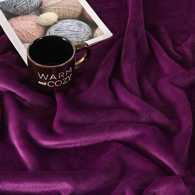 TASTHROW Large Flannel Fleece Throw Blanket, 60×80 Inch - Cozy Lightweight Thick Blanket - All Seasons Suitable for Women, Men and Kids (Purple)