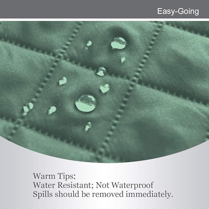 Easy-Going Reversible Loveseat Couch Cover for 2 Cushion Couch Sofa Cover for Dogs Water Resistant Furniture Protector with Foam Sticks Elastic Straps for Pet (Loveseat, Cyan/Ivory)