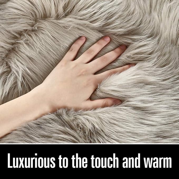 LOCHAS Soft Fluffy Faux Fur Rugs for Bedroom Bedside Rug 2x3 Feet, Washable, Furry Sheepskin Area Rug for Living Room Girls Room, Luxury Shag Carpet Home Decor, Beige