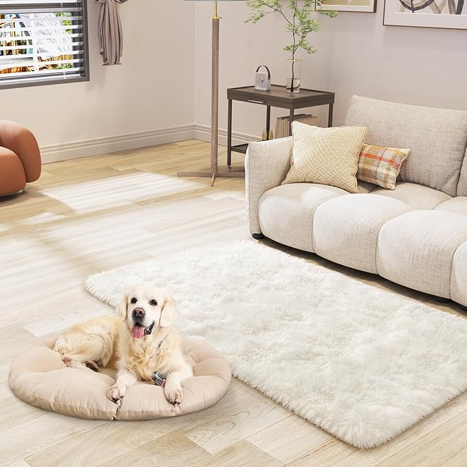 LOCHAS Ultra Soft Indoor Modern Area Rugs 2' x 4', Fluffy Living Room Carpets for Children Bedroom Home Decor Nursery Rug, Cream