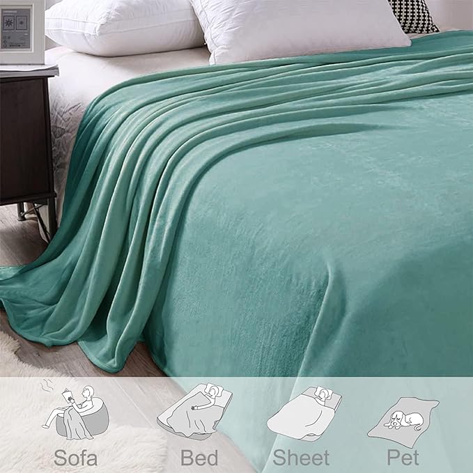 Exclusivo Mezcla Fleece Blanket Twin Size for Bed, Super Soft and Warm, All Season, Cozy, Plush, Lightweight, 90x66 Inches, Celadon