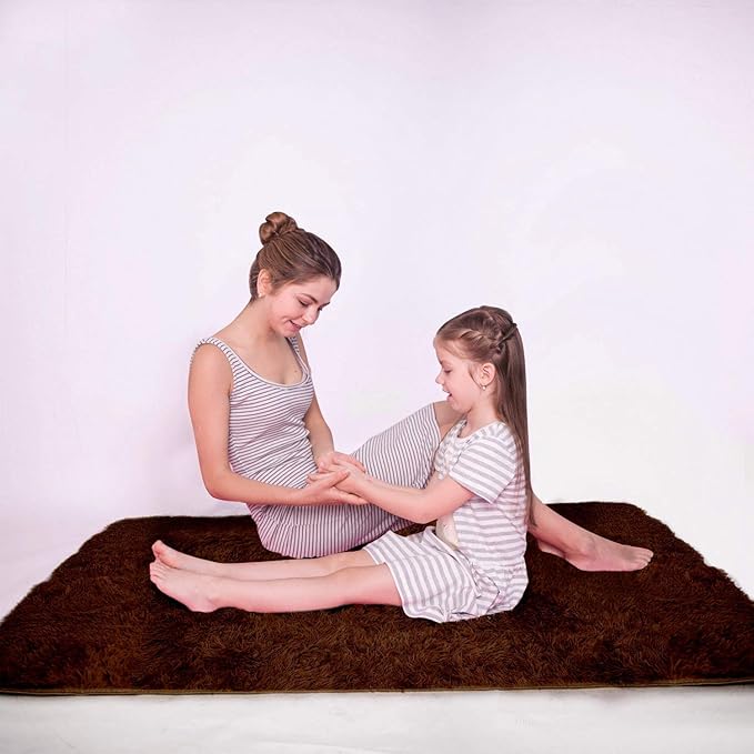 LOCHAS Ultra Soft Indoor Modern Area Rugs Fluffy Living Room Carpets for Children Bedroom Home Decor Nursery Rug 2x3 Feet, Brown
