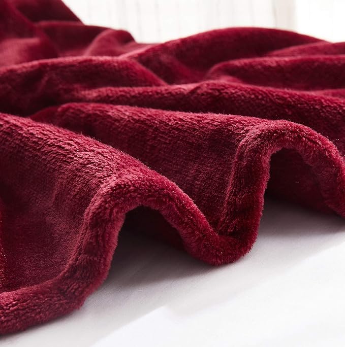 TASTHROW Large Flannel Fleece Throw Blanket, 60×80 Inch - Cozy Lightweight Thick Blanket - All Seasons Suitable for Women, Men and Kids (Burgundy)