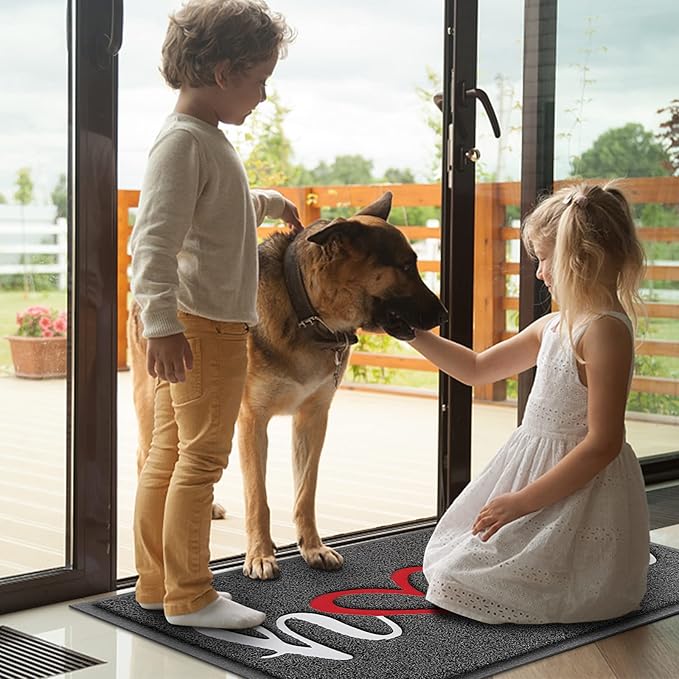 BeneathYourFeet Door Mat, Welcome Mat Low Profile Floor Mat Front Doormat Indoor and Outdoor Doormat Non Slip Rugs for Entryway, Patio, High Traffic Areas (30"x17.5", Grey-Home)