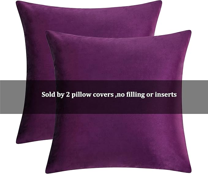 GIGIZAZA Decor Throw Couch Pillow Covers,Set of 2 Sofa Cushion Purple Pillow Covers,Velvet Pillow Cases 24 x 24inch