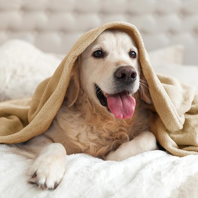 BEDELITE Fleece Blanket King Size Blankets for Bed, Luxury Plush Cozy Fuzzy Blanket 108x90 inches, Super Soft Warm Lightweight Throw Blanket All Seasons Suitable, Light Camel