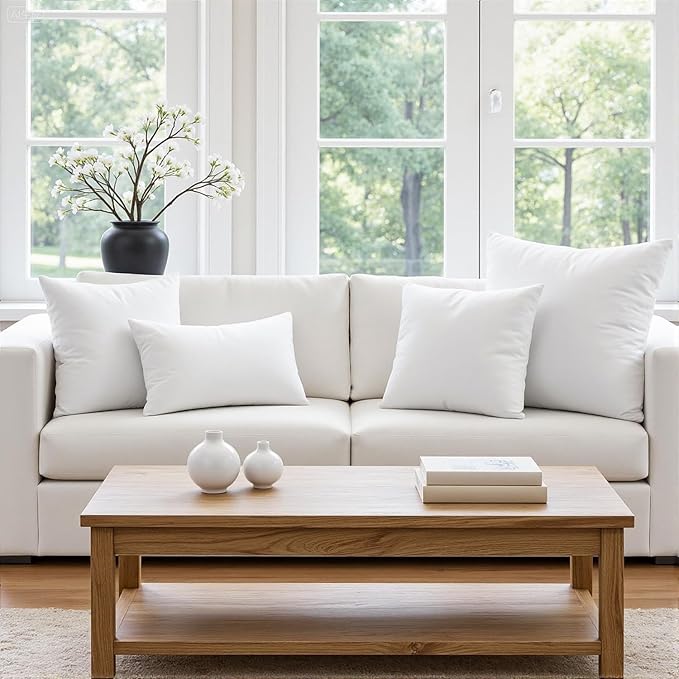 MIULEE Throw Pillow Insert Premium Pillow Stuffer Sham Rectangle for Decorative Cushion Bed Couch Sofa 16x24 Inch
