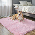 Small Rug Throw Rugs for Bedroom, Mini Area Rug, Fluffy Pink Carpet, Affordable Door Entryway Indoor Inside Front Entrance Dog 2x3 Mat, Home Decor Aesthetic(2 x 3, Pink)