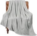 BEDELITE Fleece Blanket Light Grey Throw Blankets for Couch & Bed, Luxury Plush Cozy Fuzzy 50x60 inches, Super Soft Warm Lightweight Throw for Travel Camping
