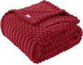60x80 Inch Red Twin Blanket - Soft & Fluffy Fleece, Cute & Aesthetic, Perfect for Sofa, Couch, Chair, Bed, Living Room & Bedroom, All-Season Use, Plush & Cozy Decorative Blanket