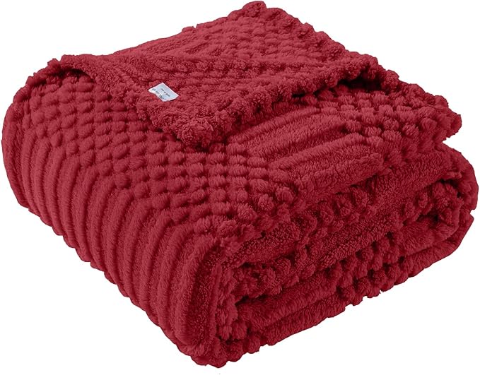 60x80 Inch Red Twin Blanket - Soft & Fluffy Fleece, Cute & Aesthetic, Perfect for Sofa, Couch, Chair, Bed, Living Room & Bedroom, All-Season Use, Plush & Cozy Decorative Blanket