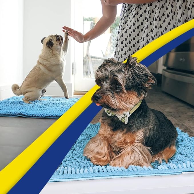 Muddy Mat® | Super Absorbent Door Mat Indoor, Microfiber Quick Dry Chenille Entryway Rug, Non-Slip Front Door Mat, Indoor Mats for Entryway, Machine Washable Pet Rug, Sky Blue 48"x60"