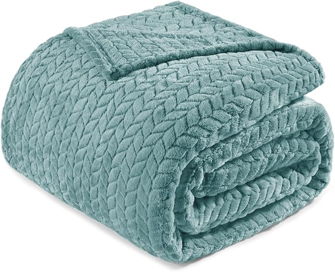 Exclusivo Mezcla Fleece Queen Size Blanket for Bed, 90x90 Inches Soft Cozy Jacquard Flannel Blankets, Lightweight Fuzzy Plush Warm for Women, Celadon