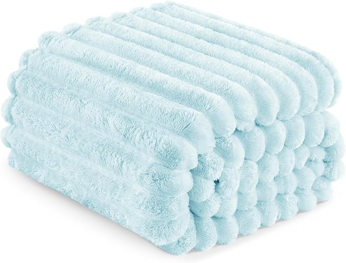 Exclusivo Mezcla Twin Size Flannel Fleece Blanket, Super Soft Striped Jacquard Bed Blanket, Lightweight Fuzzy Cozy for All Seasons, 60x80 Inches, Light Blue