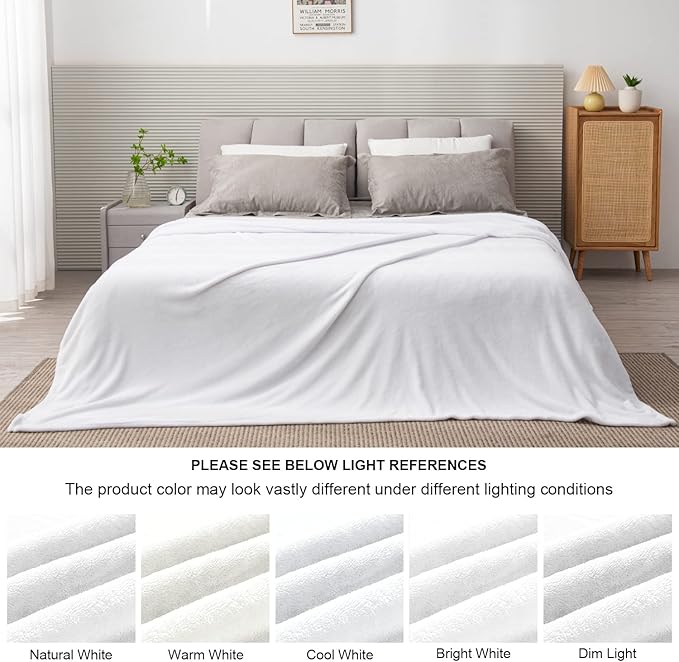 BEDELITE Fleece Blankets Queen Size White Throw Blankets for Bed, Luxury Plush Cozy Fuzzy Blanket 90x90 inches, Super Soft Warm Lightweight Throw Blanket All Seasons Suitable