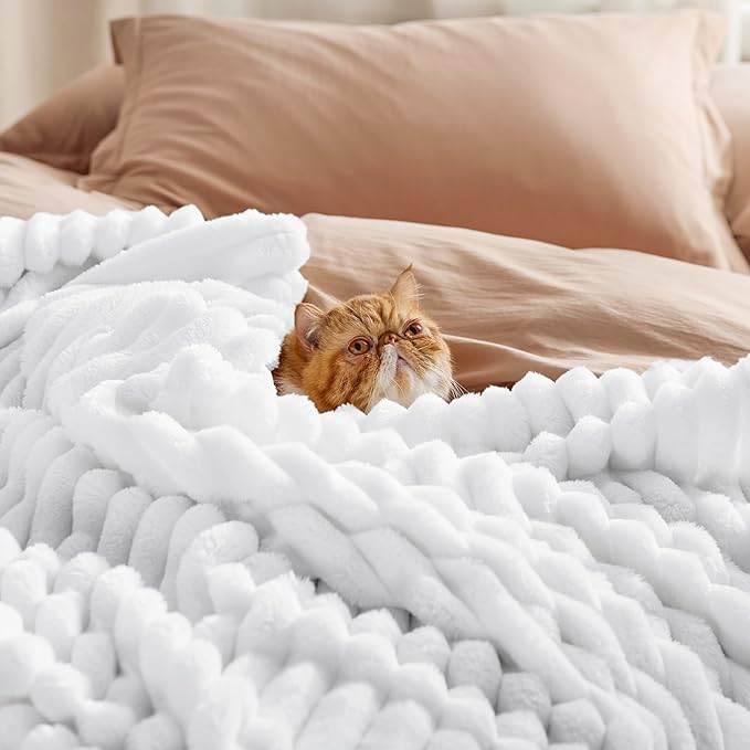 Bedsure GentleSoft Bright White Throw Blanket for Couch - Cozy Soft Blankets for Women, Cute Small Throws for Girls, 50x60 Inches