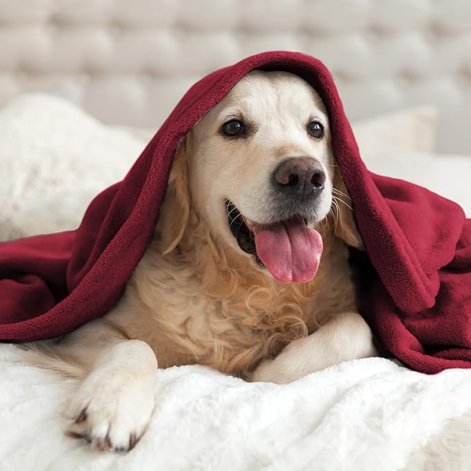 BEDELITE Fleece Blanket Burgundy Throw Blankets for Couch & Bed, Luxury Plush Cozy Fuzzy Blanket 50x60 inches, Super Soft Warm Lightweight Throw Blanket for Travel Camping