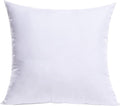 MIULEE Throw Pillow Insert Premium Pillow Stuffer Sham Square for Decorative Cushion Bed Couch Sofa 20x20 Inch
