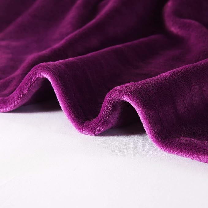 TASTHROW Large Flannel Fleece Throw Blanket, 60×80 Inch - Cozy Lightweight Thick Blanket - All Seasons Suitable for Women, Men and Kids (Purple)