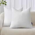 MIULEE 22x22 Inches Pillow Inserts Pack of 2, Decorative Throw Pillow Inserts for Couch