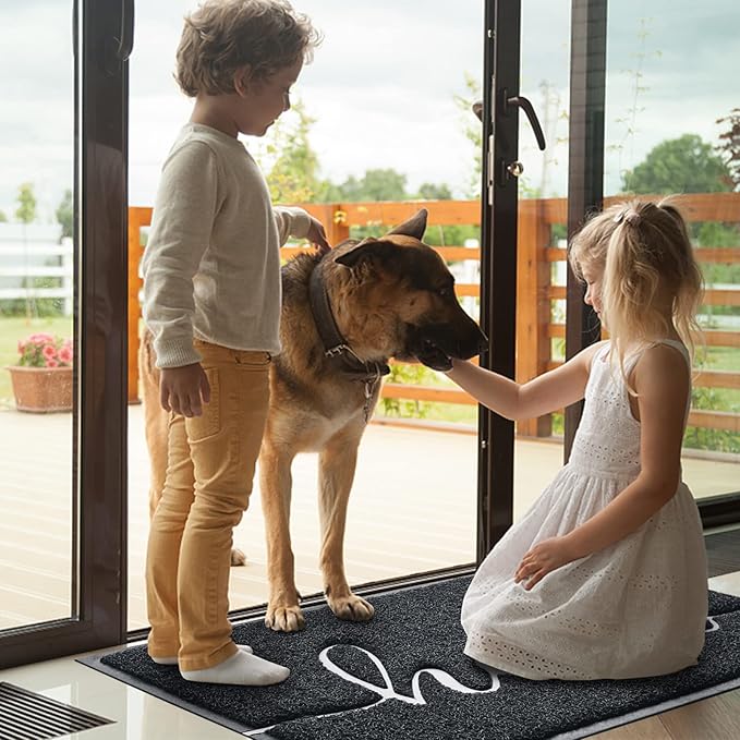 BeneathYourFeet Door Mat (32"x20",Black), Welcome Mat Low Profile Front Doormat Indoor Outdoor Door Non Slip Rugs for Entryway, Patio, High Traffic Areas