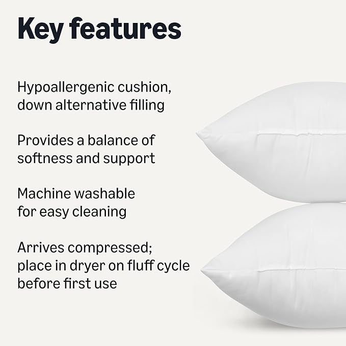 Amazon Basics Square Hypoallergenic Pillow Insert, Sofa Bed Couch Decorative Stuffer, 20", 2 Pack
