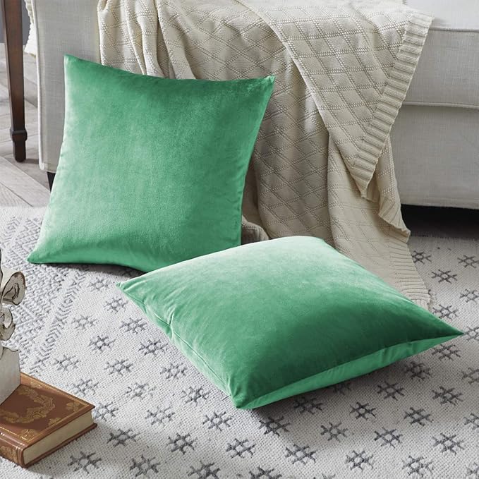 GIGIZAZA Mint Turquoise Velvet Decorative Throw Pillow Covers 20x20 for Sofa Bed 2 Pack Soft Cushion Cover