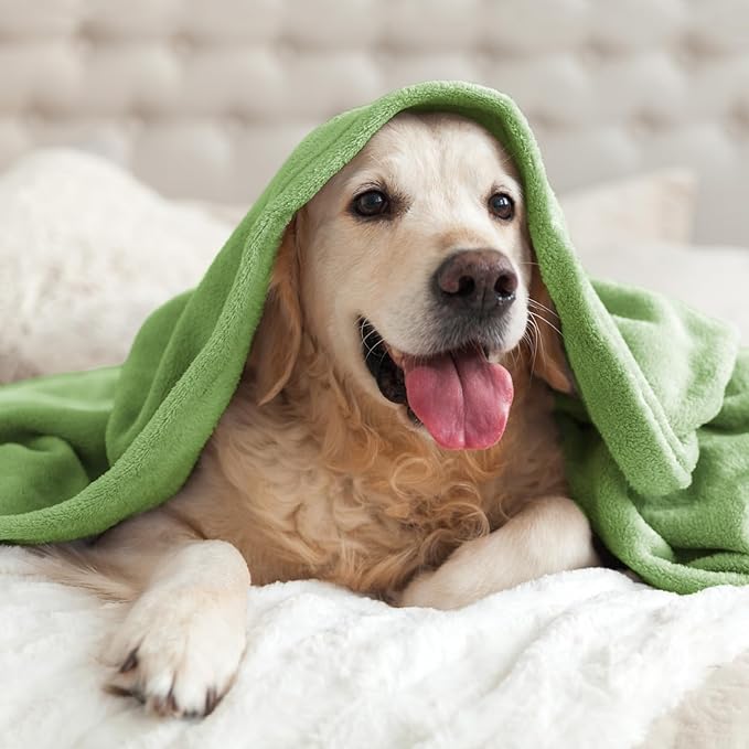 BEDELITE Fleece Blanket Grass Green Throw Blankets for Couch & Bed, Luxury Plush Cozy Fuzzy Blanket 50" x 60", Super Soft Warm Lightweight Throw Blanket for Travel Camping
