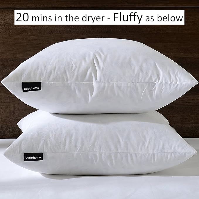 Pillow Inserts - 22x22 White Feather Throw Pillow Inserts, Set of 2